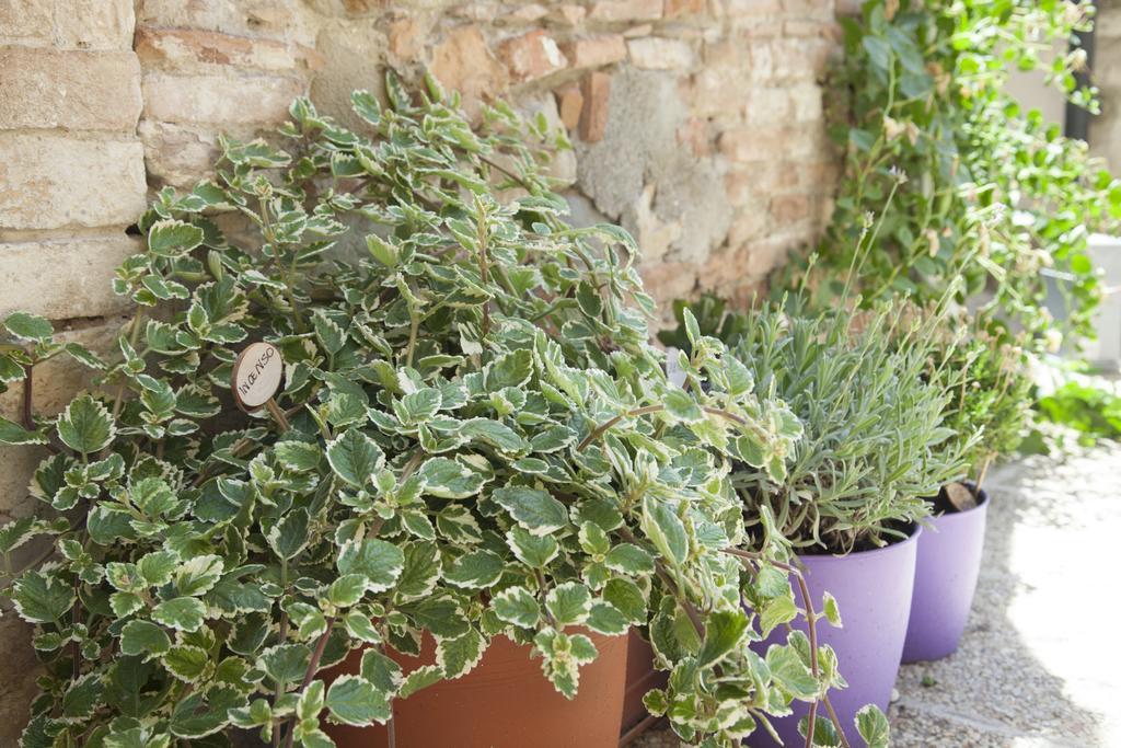 Break And Bed Bed & Breakfast Perugia Ngoại thất bức ảnh