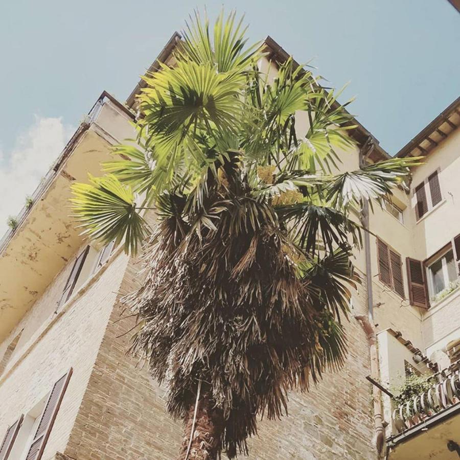Break And Bed Bed & Breakfast Perugia Ngoại thất bức ảnh